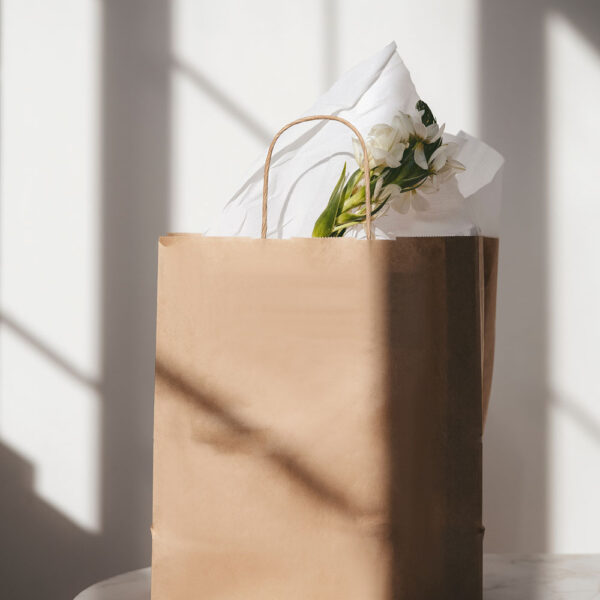 Paper Bag Mockups